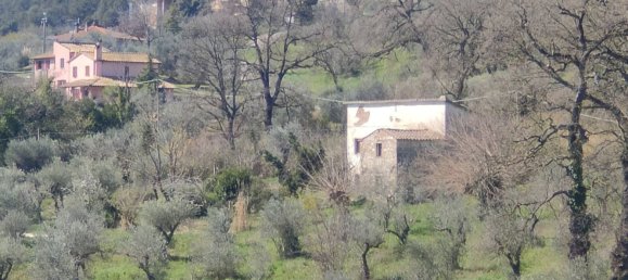 Дом с 8 комнатами в Амелия, Италия № 45918 6