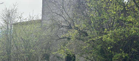 Дом с 8 комнатами в Амелия, Италия № 45918 55