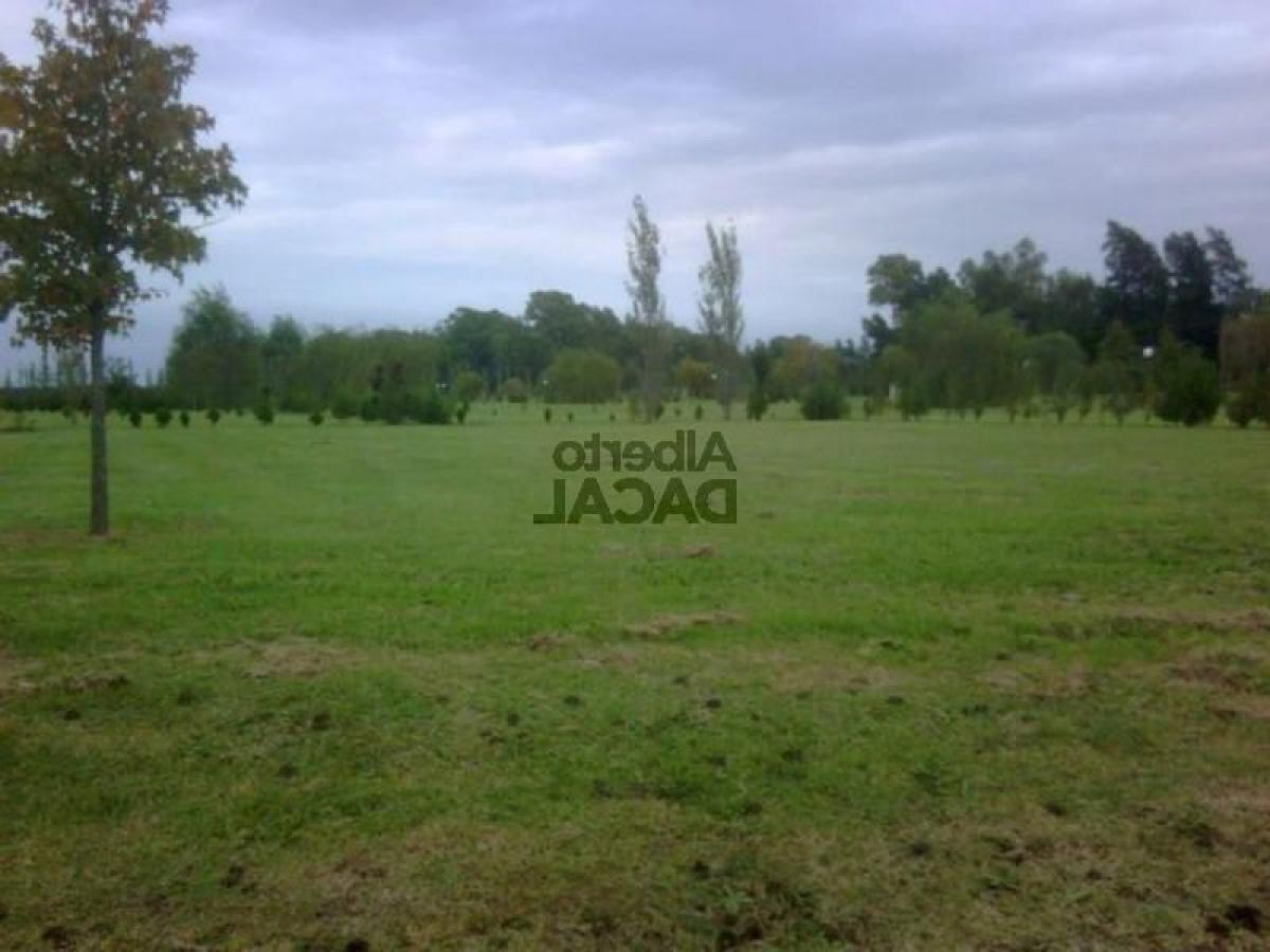  Land in Berazategui, Argentina No. 46706
