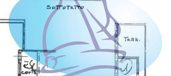 6 rooms Apartment in Viareggio, Italy No. 68702 26