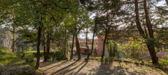 10 Schlafzimmer Hotel in Lucca, Italy, Nr. 68455 9