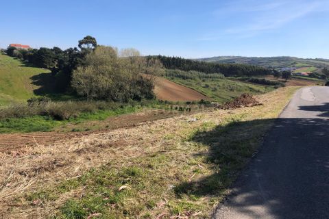  Land in Lourinha, Portugal No. 239021