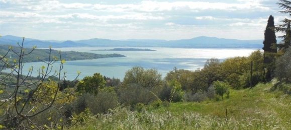 8 rooms Villa in Passignano sul Trasimeno, Italy No. 55671 25