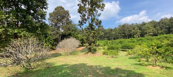 20 bedrooms Commercial property in Chiang Mai, Thailand No. 21879 11