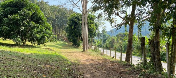 20 bedrooms Commercial property in Chiang Mai, Thailand No. 21879 22