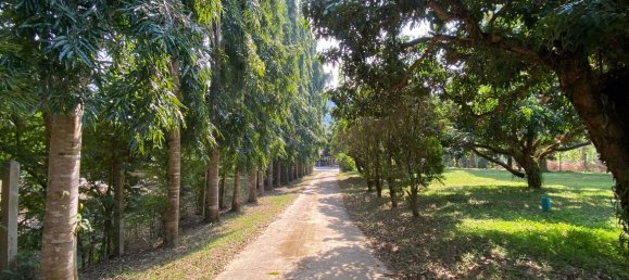 20 bedrooms Commercial property in Chiang Mai, Thailand No. 21879 25