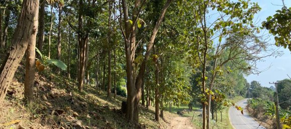 20 bedrooms Commercial property in Chiang Mai, Thailand No. 21879 23