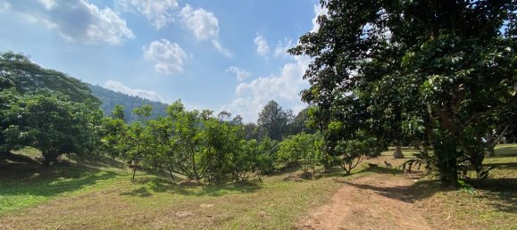 20 bedrooms Commercial property in Chiang Mai, Thailand No. 21879 15