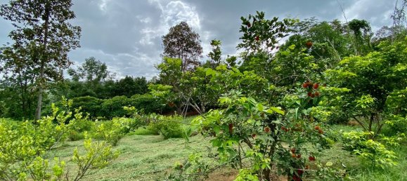 20 bedrooms Commercial property in Chiang Mai, Thailand No. 21879 5