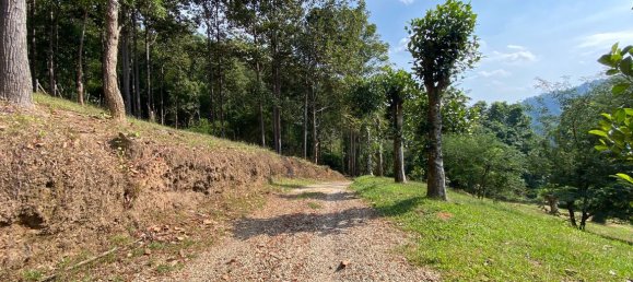 20 bedrooms Commercial property in Chiang Mai, Thailand No. 21879 26