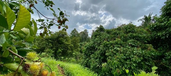 20 bedrooms Commercial property in Chiang Mai, Thailand No. 21879 6