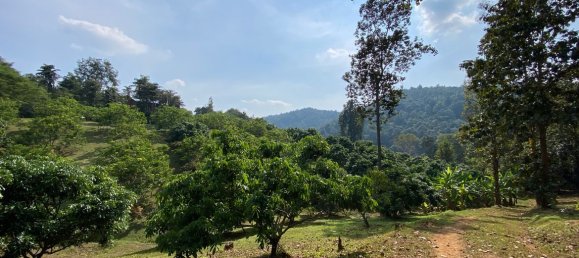 20 bedrooms Commercial property in Chiang Mai, Thailand No. 21879 19