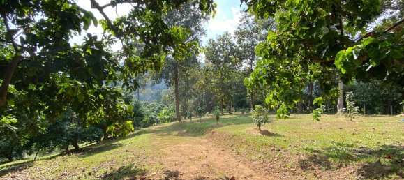 20 bedrooms Commercial property in Chiang Mai, Thailand No. 21879 18