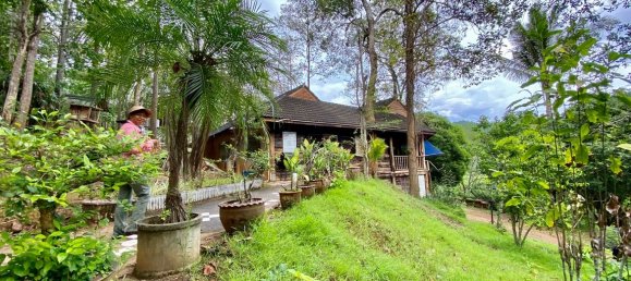 20 bedrooms Commercial property in Chiang Mai, Thailand No. 21879 7