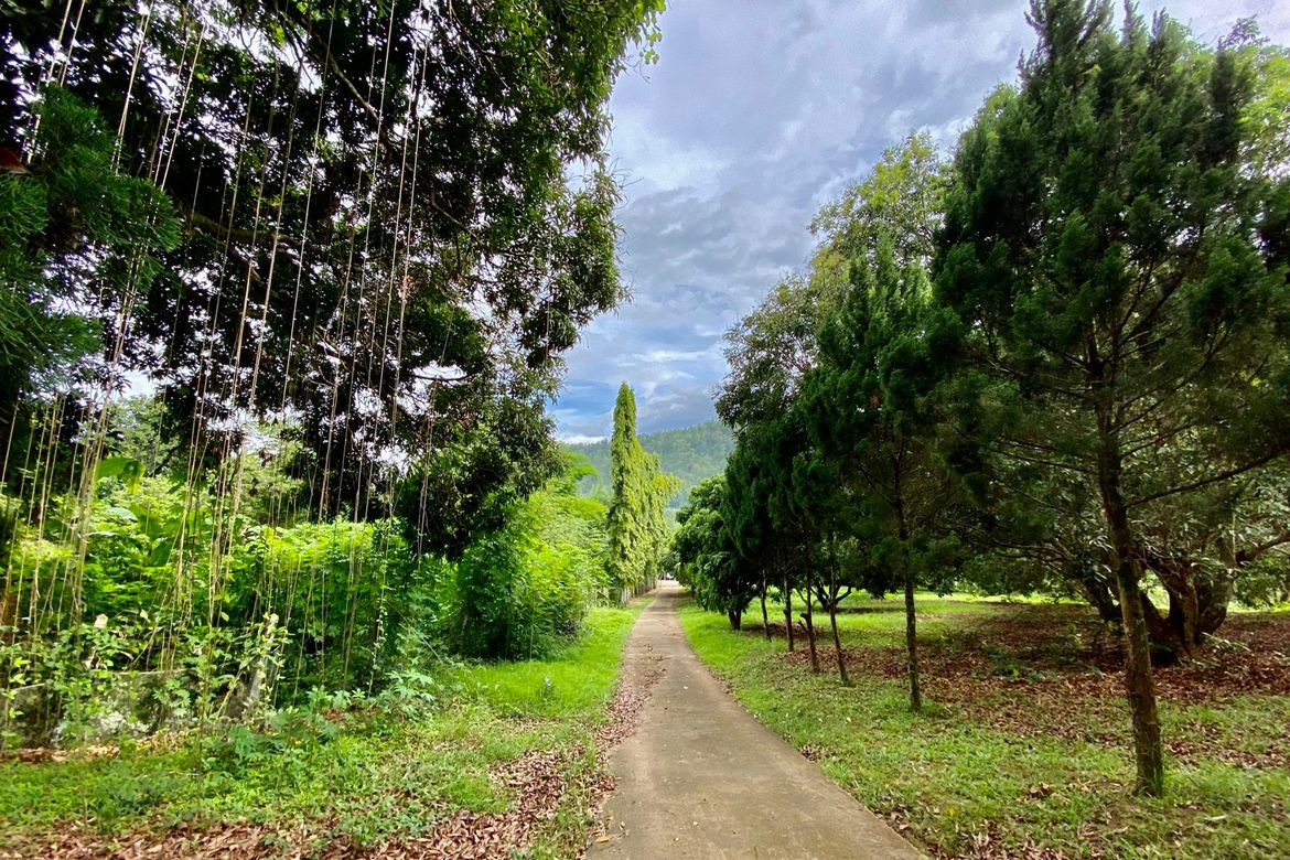 20 bedrooms Commercial property in Chiang Mai, Thailand No. 21879