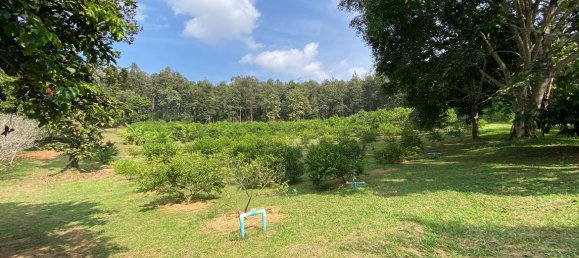 20 bedrooms Commercial property in Chiang Mai, Thailand No. 21879 9