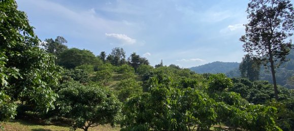 20 bedrooms Commercial property in Chiang Mai, Thailand No. 21879 20