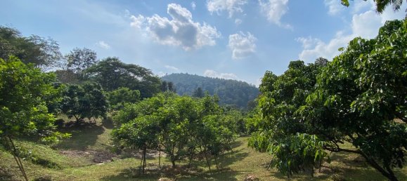 20 bedrooms Commercial property in Chiang Mai, Thailand No. 21879 16