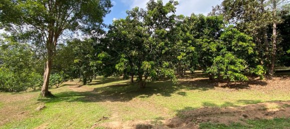 20 bedrooms Commercial property in Chiang Mai, Thailand No. 21879 13