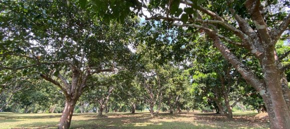 20 bedrooms Commercial property in Chiang Mai, Thailand No. 21879 14