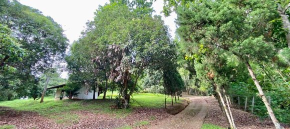 20 bedrooms Commercial property in Chiang Mai, Thailand No. 21879 2