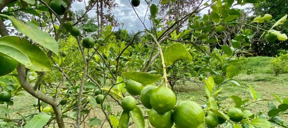 20 bedrooms Commercial property in Chiang Mai, Thailand No. 21879 4