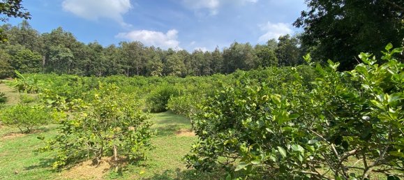 20 bedrooms Commercial property in Chiang Mai, Thailand No. 21879 12