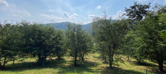 20 bedrooms Commercial property in Chiang Mai, Thailand No. 21879 27