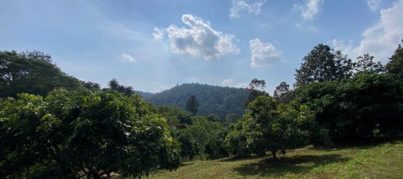 20 bedrooms Commercial property in Chiang Mai, Thailand No. 21879 17