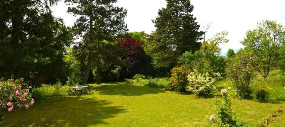 Bungalow de 3 habitaciónes en Bad Fischau-Brunn, Austria No. 248227 5