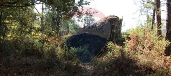 Terrain à Tondela, Portugal 1930m² No. 88113 2