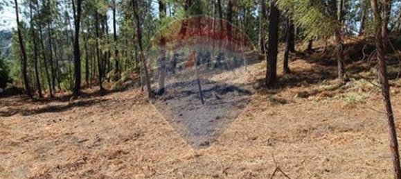 Terrain à Tondela, Portugal 1930m² No. 88113 3