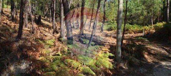 Terrain à Tondela, Portugal 1930m² No. 88113 5