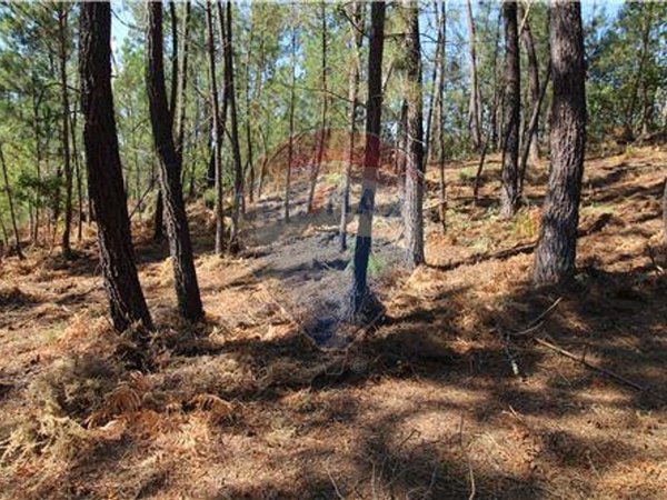 Terrain à Tondela, Portugal 1930m² No. 88113