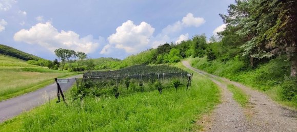 1 bedroom Castles in Neckenmarkt, Austria No. 218415 11