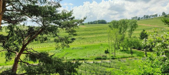 1 bedroom Castles in Neckenmarkt, Austria No. 218415 10