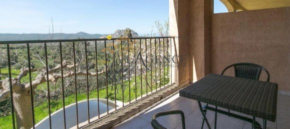  Commercial property in Santo-Pietro-di-Tenda, France No. 87961 3