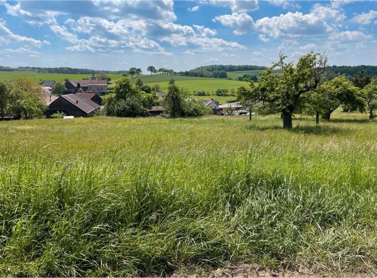 Terreno en Miltenberg, Germany No. 359776