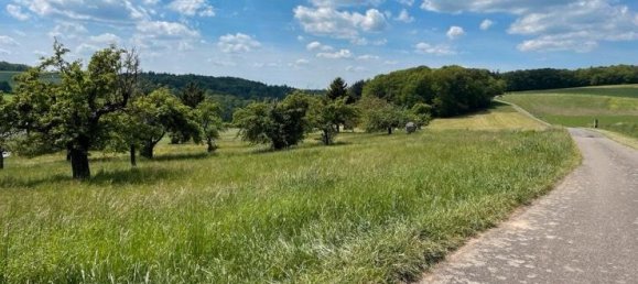 Terreno en Miltenberg, Germany No. 359776 3