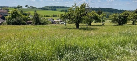 Terreno en Miltenberg, Germany No. 359776 2
