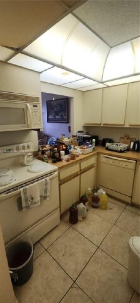 Studio in Hallandale Beach, USA No. 441366