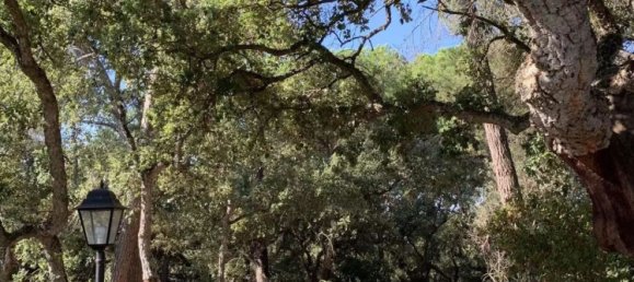 4 Schlafzimmer Grundstück in Aveiras de Baixo, Portugal, Nr. 129422 7