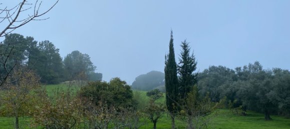 4 Schlafzimmer Grundstück in Aveiras de Baixo, Portugal, Nr. 129422 23