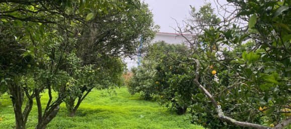 4 Schlafzimmer Grundstück in Aveiras de Baixo, Portugal, Nr. 129422 24