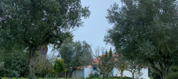 4 Schlafzimmer Grundstück in Aveiras de Baixo, Portugal, Nr. 129422 16