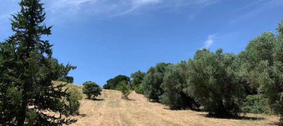 4 Schlafzimmer Grundstück in Aveiras de Baixo, Portugal, Nr. 129422 19