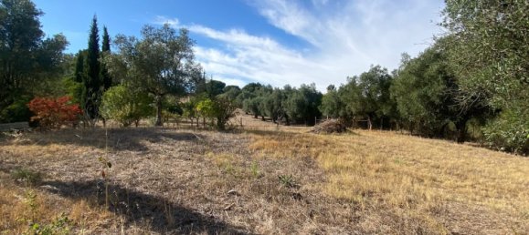 4 Schlafzimmer Grundstück in Aveiras de Baixo, Portugal, Nr. 129422 28