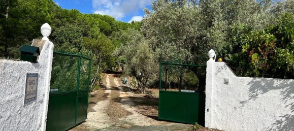 4 Schlafzimmer Grundstück in Aveiras de Baixo, Portugal, Nr. 129422 5