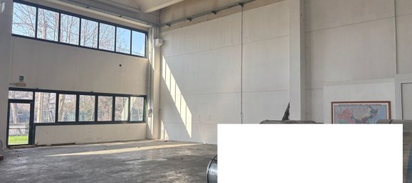 550m² Warehouse in Montichiari, Italy No. 229061 8