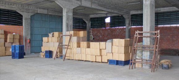 Property in Litochoro, Greece 1000m², Nr. 4280 8